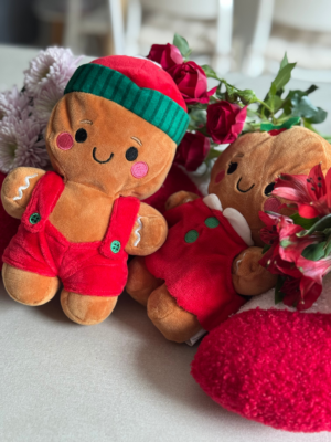 Gingerbread Buddy - Gingerboy